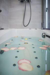 Best Western Plus Carlton Annecy - 109