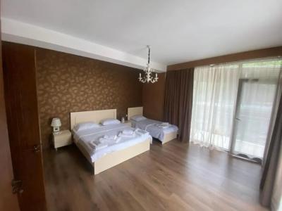 Borjomi Central - 4