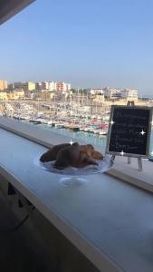 b&b Al Porto Novo - 12
