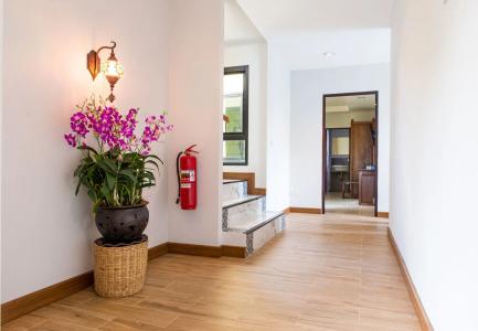Villa Thai Orchid (adult only) - 15