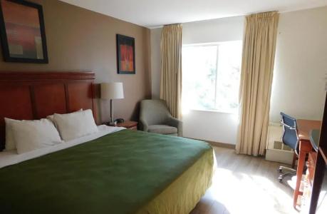 Quality Inn Colchester - 45