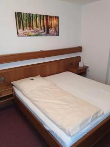 Pension Haus Diefenbach - 7