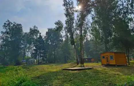 Таёжник - 4
