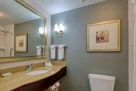 Hilton Garden Inn Southpoint - 29