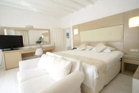 Dionysos Luxury Mykonos - 101