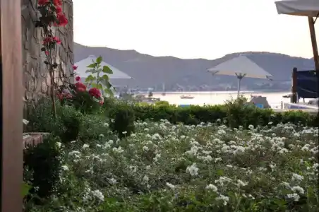 Badem Tatil Evi - 31
