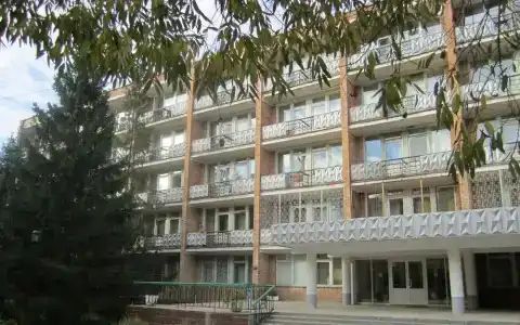 Фрунзенец - 1