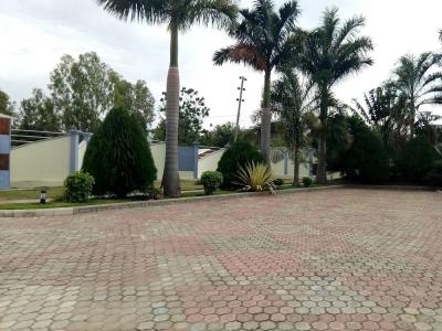 Lesa Garden - 11