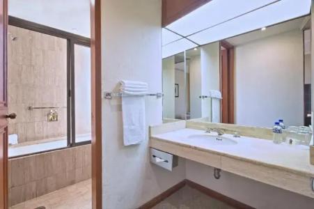 Ayenda Imperial Reforma - 100