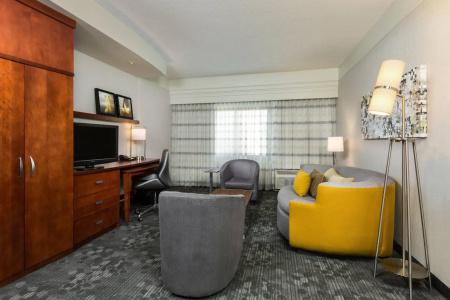 Courtyard by Marriott Houston Galleria - 5