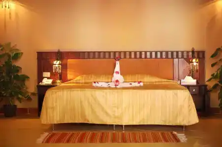 Falcon Naama Star - 50