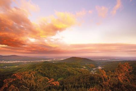 Schwarzwald Panorama - 88