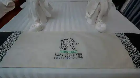 Baby Elephant Boutique - 60