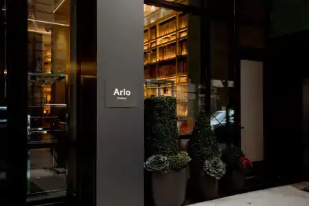 Arlo Nomad - 0