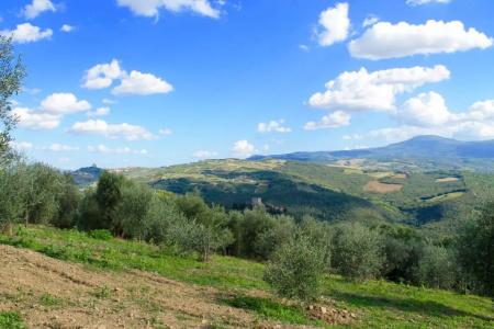 Poggio Al Vento - 28