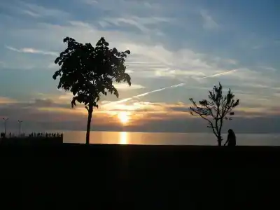 Cihan - 16