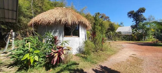 Saengcha Farm - 33