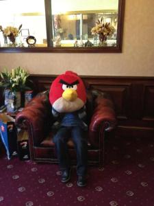 Balmoral House - 5