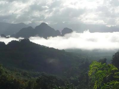 Khao Sok Paradise Jungle Lodge - 23