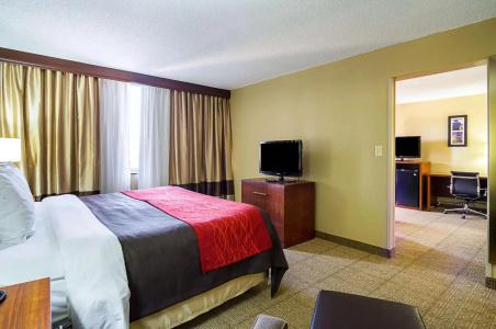 Comfort Inn Downtown - 6