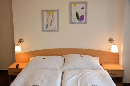 Wellness Vila Bohemia - 60