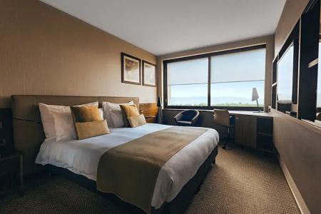 Crowne Plaza Geneva, An Ihg - 39
