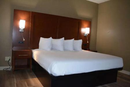 Microtel Inn & Suites by Wyndham College Station - 107