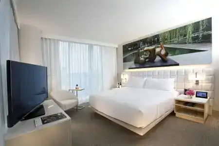 Hall Arts, Dallas, Curio Collection By Hilton - 4