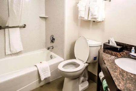 Comfort Inn Downtown Charleston - 39