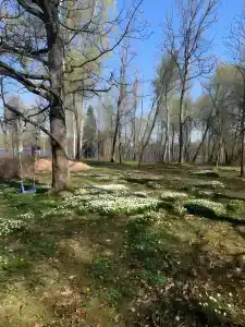 Изба на озере - Пралище - 49