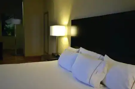 Holiday Inn Express Downtown, An Ihg - 38