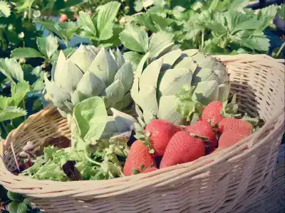 Le Domaine de Baulieu - 8