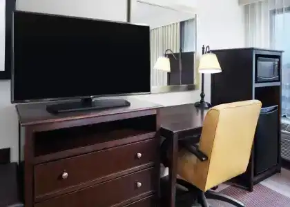 Hampton Inn Dallas-Irving-Las Colinas - 44