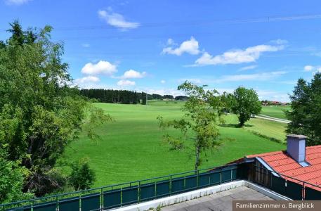 Landgasthof Löwen - 37
