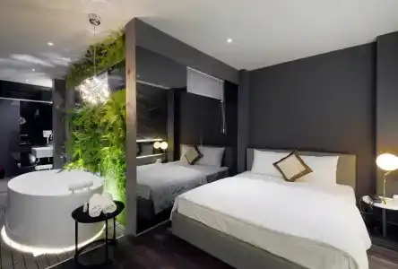 Bonita Signature - 4