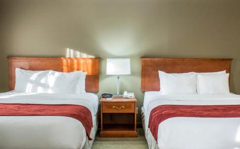 Four Points by Sheraton Arena - 4