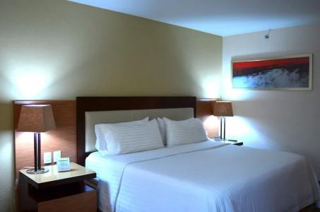 Holiday Inn Guadalajara Select, An Ihg - 87