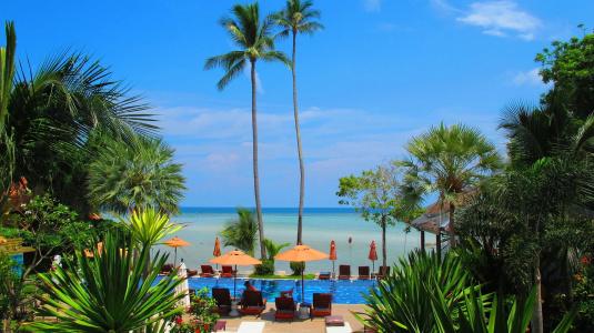 Palm Coco Mantra - 18