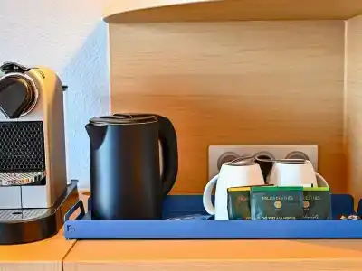Mercure Blois Centre - 44