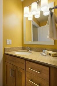 TownePlace Suites by Marriott Kansas City - 7