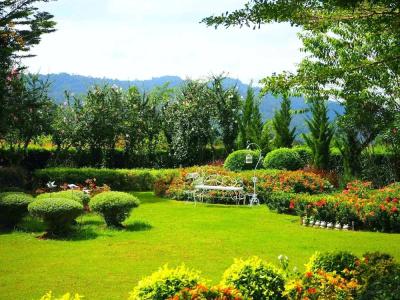 The Focus Khaoyai - 19