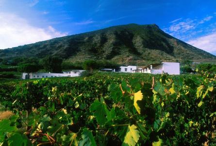 Capofaro Locanda & Malvasia - 8
