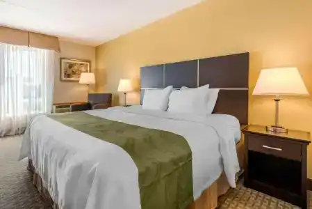 Quality Inn & Suites - 39