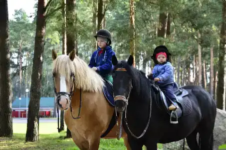 Солнечный - 20