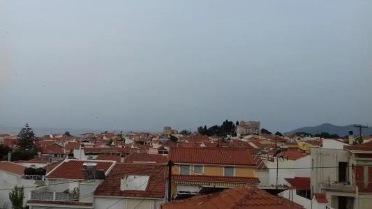 Belvedere - 7