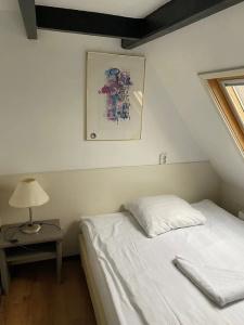Budget Hostel Sphinx - 22