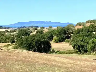 Le Querciolaie dei Ricci - 57