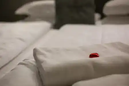 Boutique Exclusive B&B - 87
