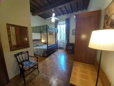 Tourist House - 53