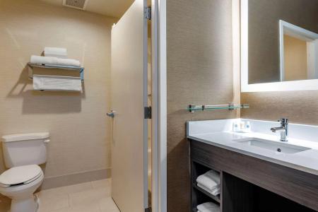 Comfort Inn & Suites North Dallas-Addison - 9